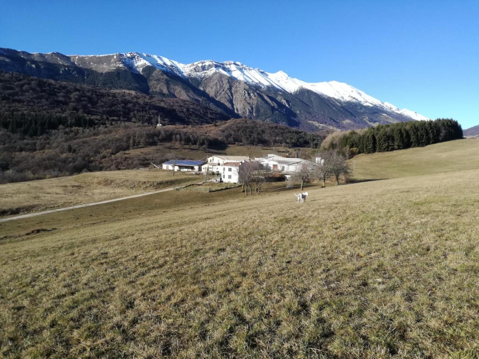 Villa Agriturismo Preele Ferrara di Monte Baldo Exterior foto